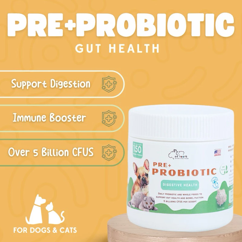 150 DrToots Prebiotic Probiotik Powder Vitamin Digestion